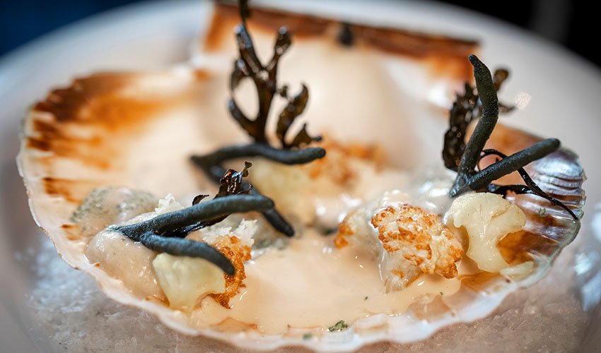 coquilles-restaurantrj-texel.jpg